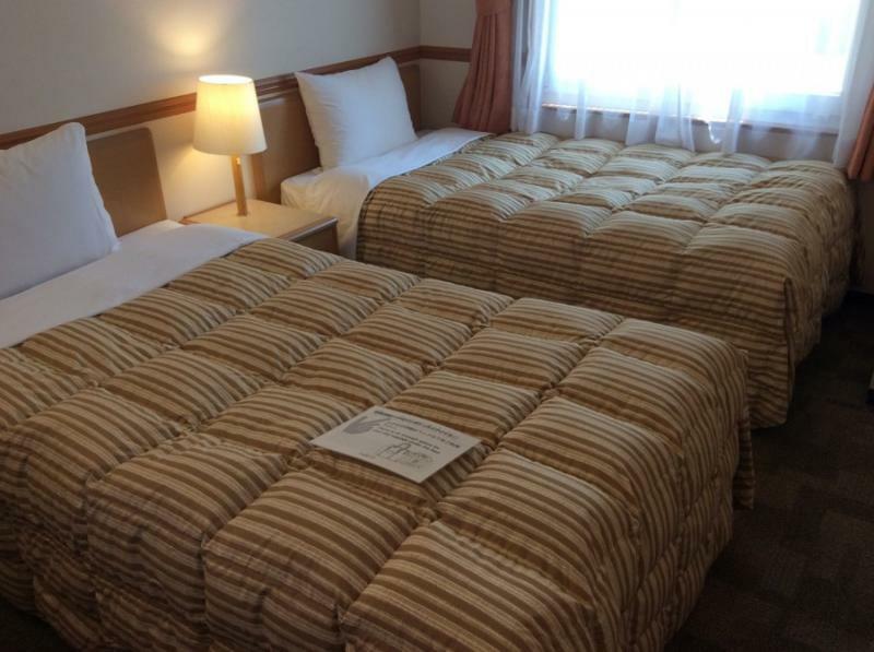 Toyoko Eki Shinkansen Minami Guchi Hotel 3*